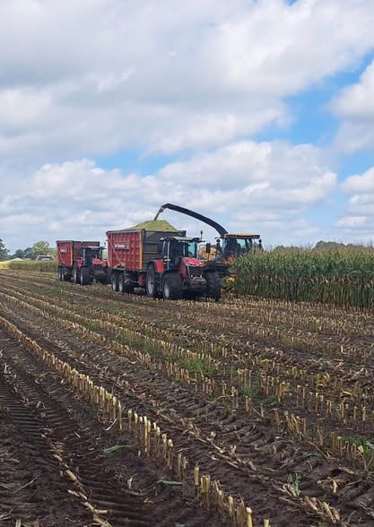 Volop aan het werk op het land